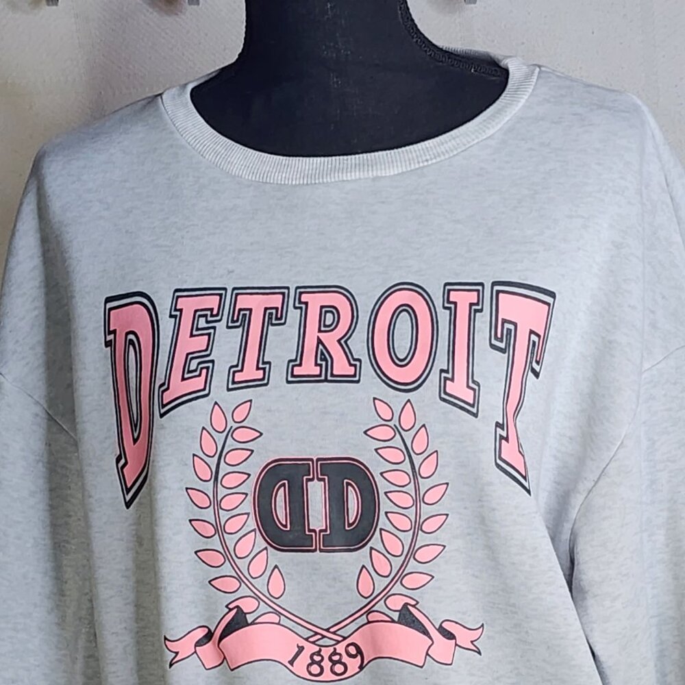 Shein Grey Crewneck with Pink Detroit Graphic Long Sleeve Poly Sweatshirt Sz S - Picture 2 of 16
